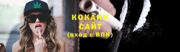 тгк Алзамай