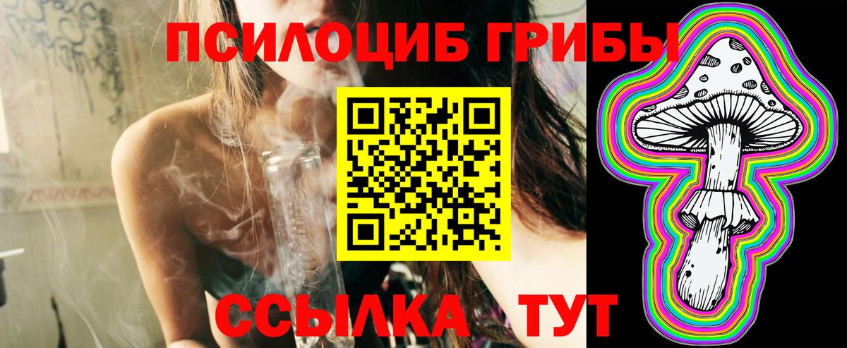 цена наркотик  Вход с VPN  Борзя  Галлюциногенные грибы Psilocybine cubensis 